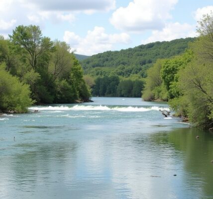 Les Fleuves de France : Guide Ultime des Cours d’Eau Incontournables
