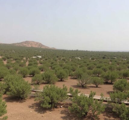 Localisation précise de la forêt Ben Khalifa en Algérie aux coordonnées 36.443588, 6.026489
