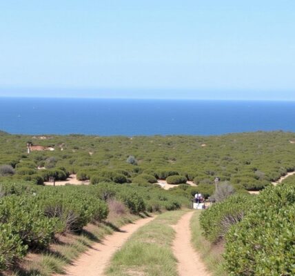Pointe du Salaison à Mauguio : guide complet pour randonnées et découvertes nature en 2025