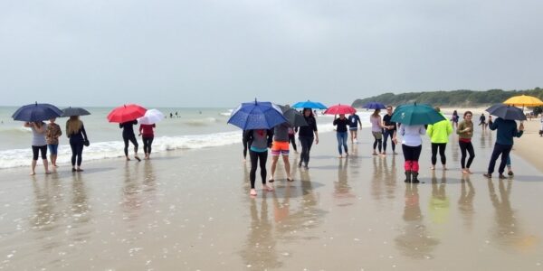 Guide des activités couvertes à Courseulles-sur-Mer : que faire quand la pluie s’invite ?
