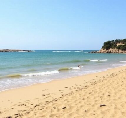 Plage du Trélus à Toulon : un écrin de sable fin au cœur d’un paysage naturel préservé
